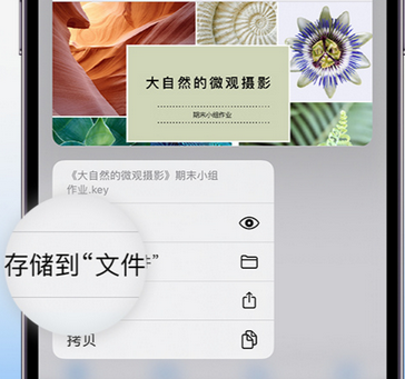 市中apple维修中心分享iPhone文件应用中存储和找到下载文件