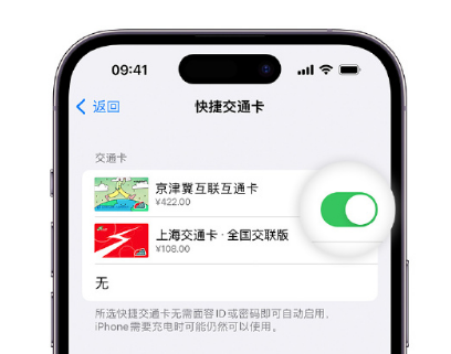 市中apple维修点分享iPhone上更换Apple Pay快捷交通卡手绘卡面 