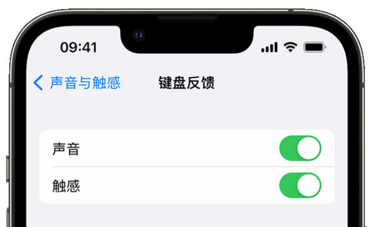 市中苹果手机维修分享iPhone 14触感键盘使用方法 