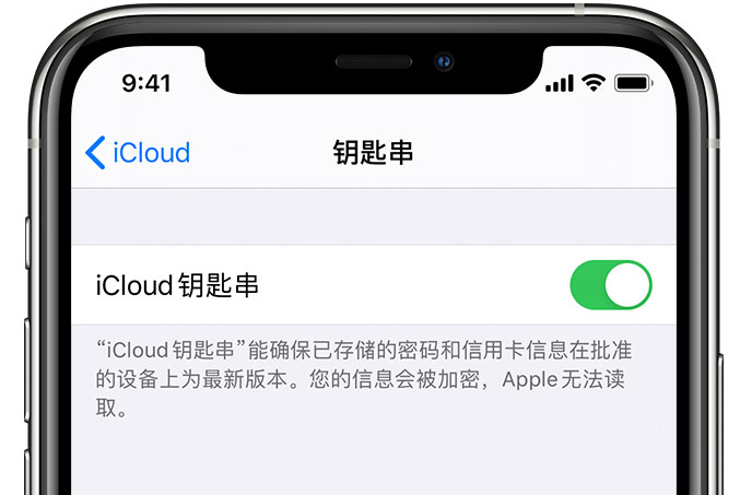 市中苹果手机维修分享在 iPhone 上开启 iCloud 钥匙串之后会储存哪些信息 