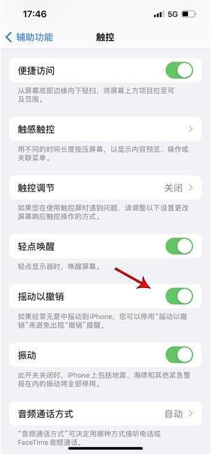 市中苹果手机维修分享iPhone手机如何设置摇一摇删除文字 